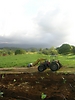 Paysage agricole