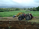 Paysage agricole