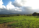 Paysage agricole de la commune de Goyave