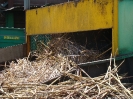 Broyage de la canne à l'usine sucrière de Marie Galante