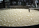 Jus de canne en fermentation