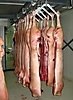 Carcasses porcines dans l'abattoir 