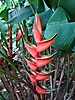 Filière Horticulture