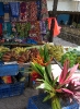 Divers Guyane