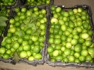 Filière Fruits