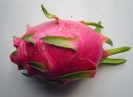 Pitaya