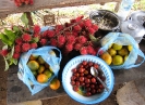 Vente de bord de route