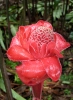 Filière Horticulture