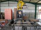 Robot palettiseur