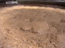 Jus de canne en fermentation 