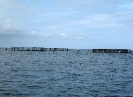 Cages flottantes