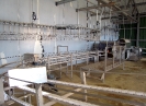 Filière Aviculture