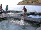 Bassins aquacoles