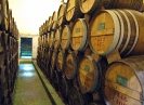 Fûts de rhum en vieillissement