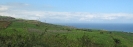 Paysage cannier réunionnais