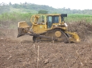 Dépierrage d'une parcelle avant plantation de la canne à sucre