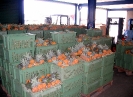 Caisses d'ananas