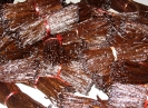 Filière PAPAM