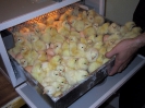 Incubateur éclosoir