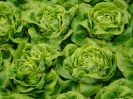 Salades